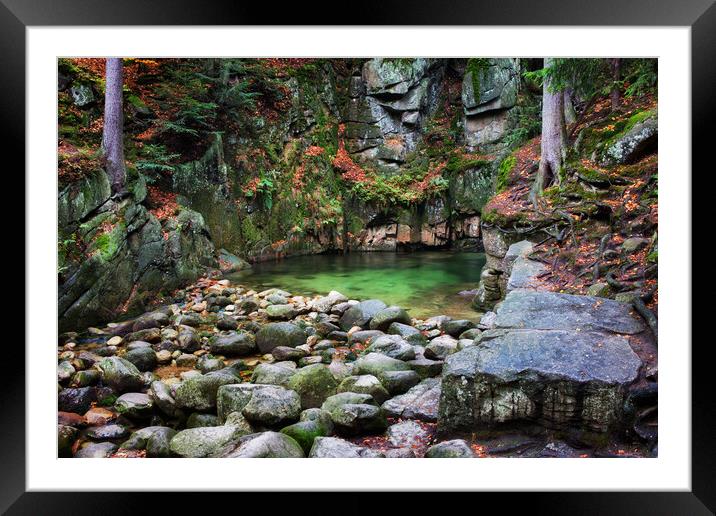 Stream Pool In Mountain Wilderness Framed Mounted Print by Artur Bogacki