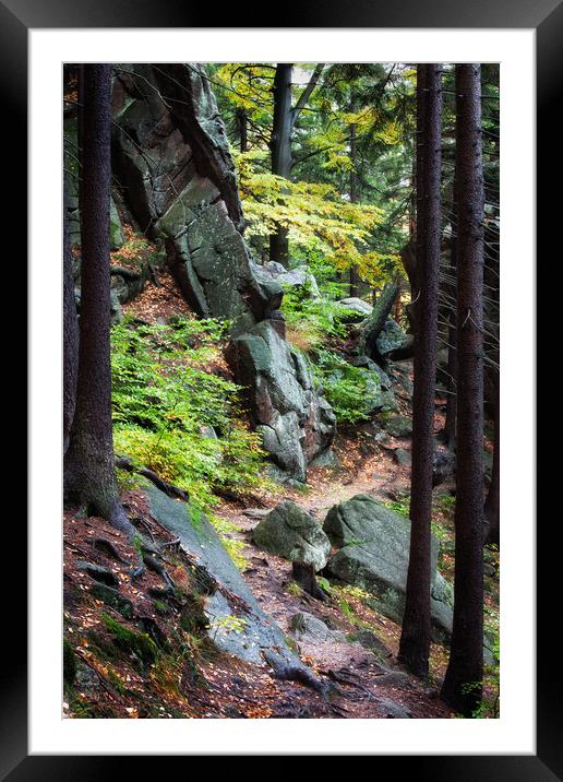 Narrow Footpath in Mountain Forest  Framed Mounted Print by Artur Bogacki