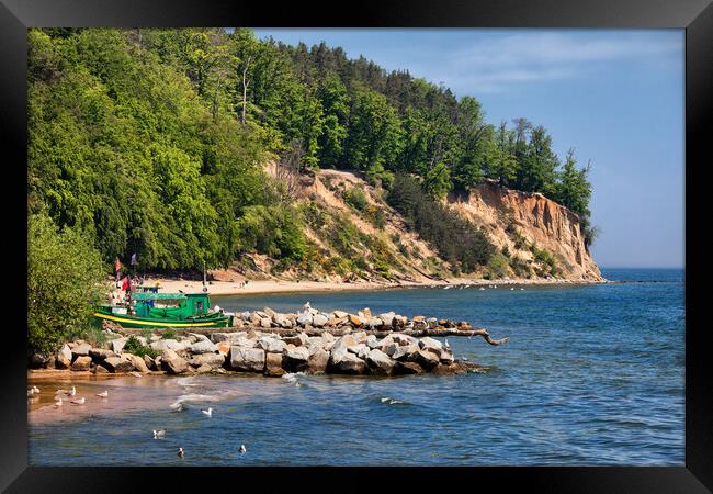 Orlowo Cliff in Gdynia at Baltic Sea Framed Print by Artur Bogacki