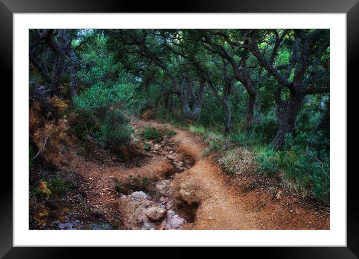 Path in Spooky Forest Framed Mounted Print by Artur Bogacki