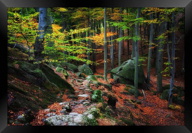 Mountain Forest In Autumn Framed Print by Artur Bogacki