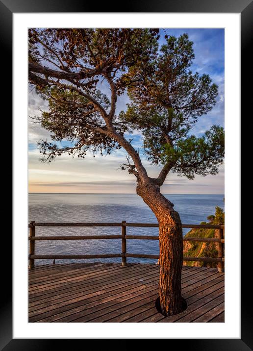 Sunrise On Sea From Viewpoint Terrace Framed Mounted Print by Artur Bogacki