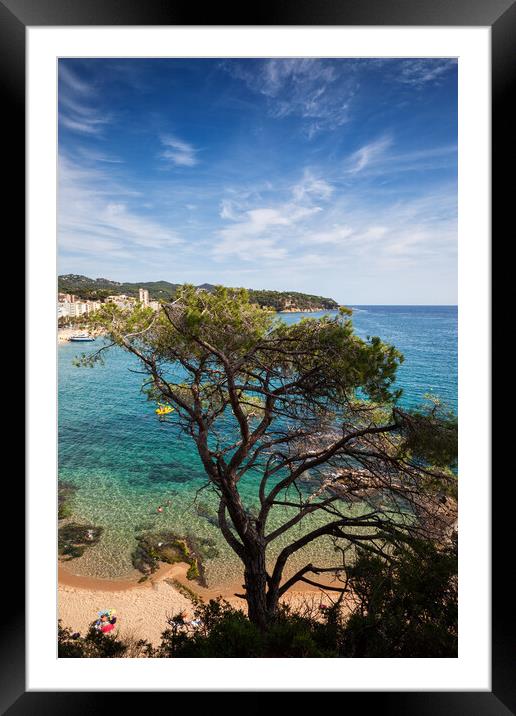 Single Tree Against The Sea At Costa Brava In Spain Framed Mounted Print by Artur Bogacki