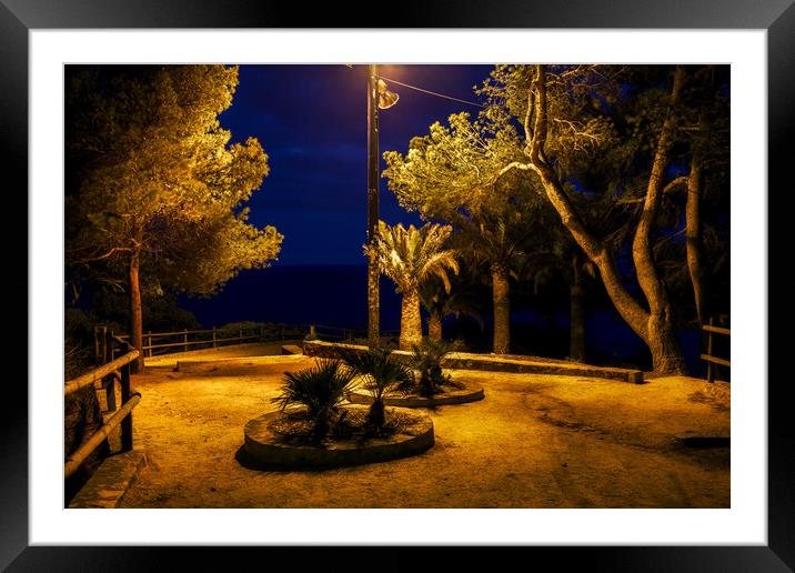 Night In Park By The Sea Framed Mounted Print by Artur Bogacki