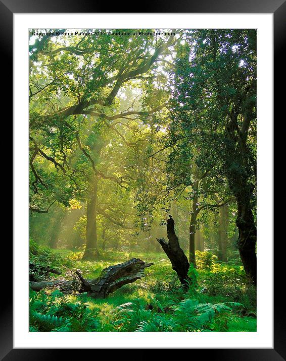  Rays at Dawn. Framed Mounted Print by Kerry Palmer