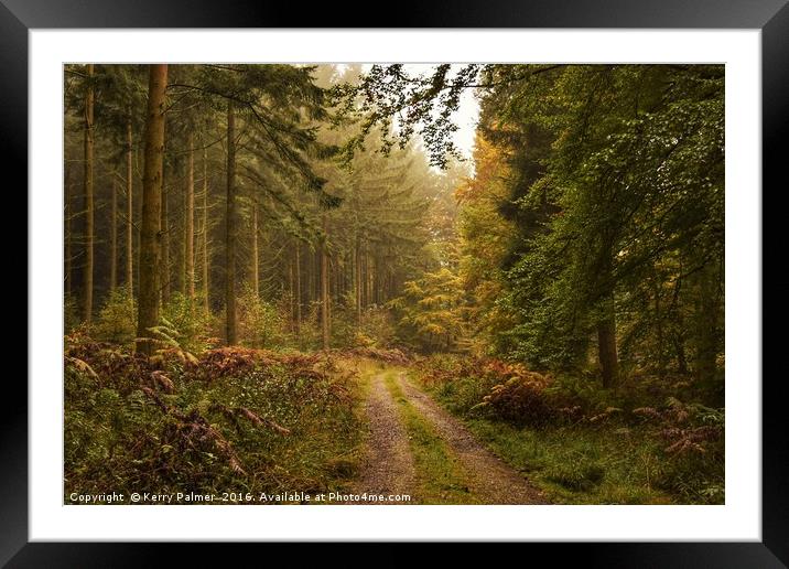 Woodland Paradise  Framed Mounted Print by Kerry Palmer