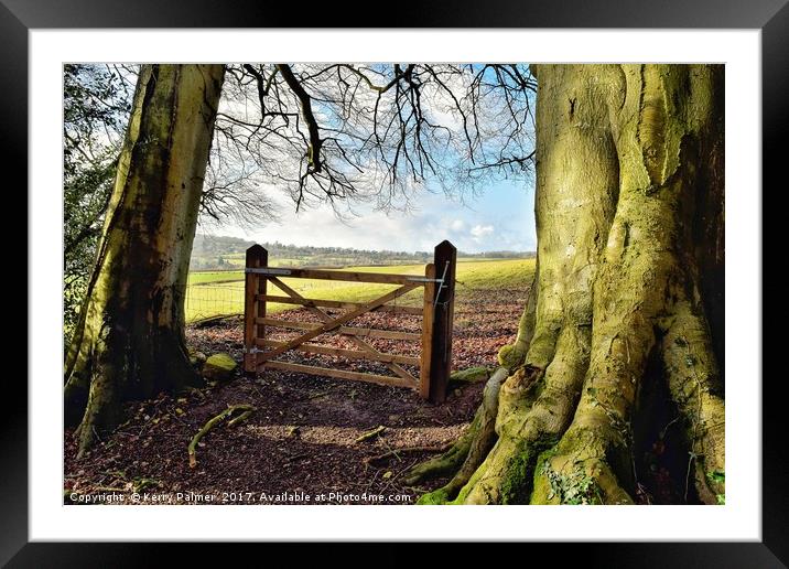 Gateway to the Country  Framed Mounted Print by Kerry Palmer