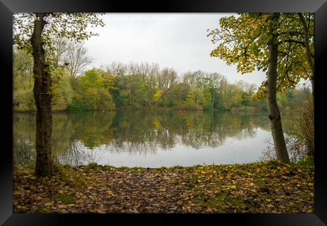 Autumn scene - Trees reflected in lake Framed Print by David Graham