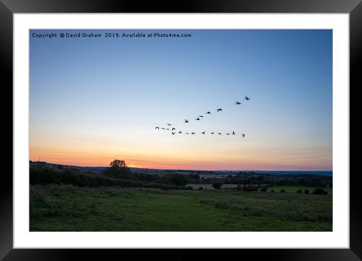 Geese flying in V formation over Silver Hills - Su Framed Mounted Print by David Graham