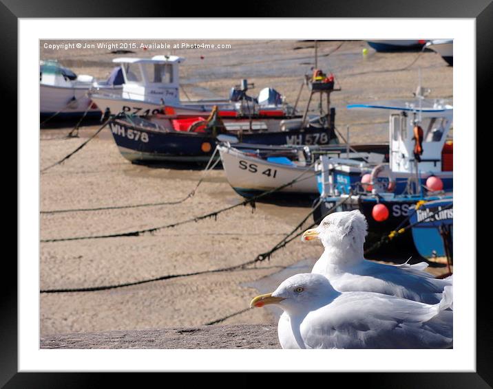 Seagulls of St Ives Framed Mounted Print by WrightAngle Photography