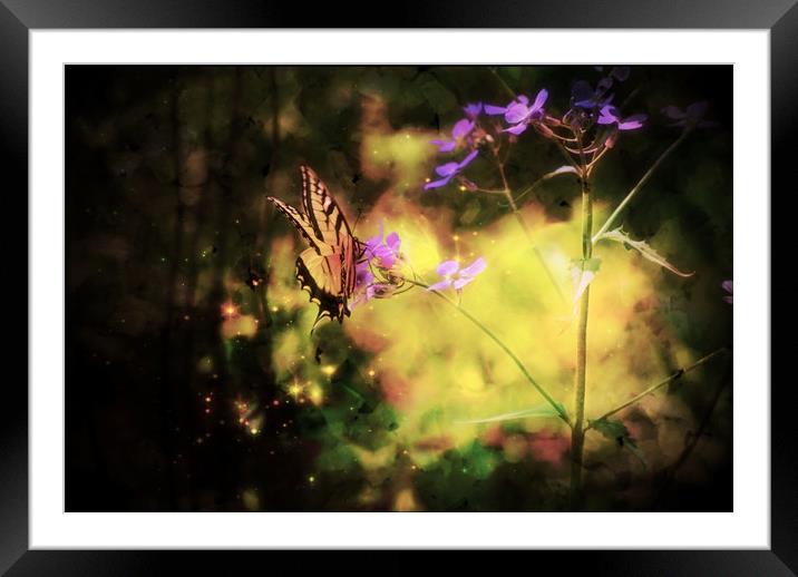 Butterfly Light Framed Mounted Print by Sarah Ball