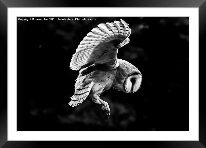  Mono  Barn Owl in Flight Framed Mounted Print by Jason Tait