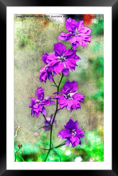  the wild orchid Framed Mounted Print by naz kearney