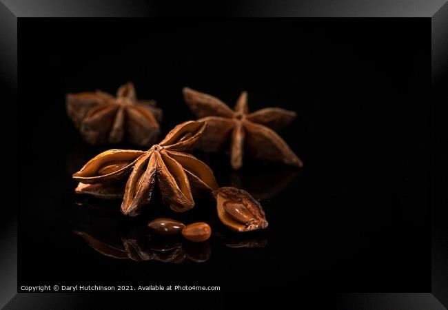 Star anise Framed Print by Daryl Peter Hutchinson