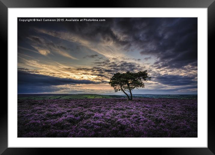 Goathland Lonely Tree Framed Mounted Print by Neil Cameron