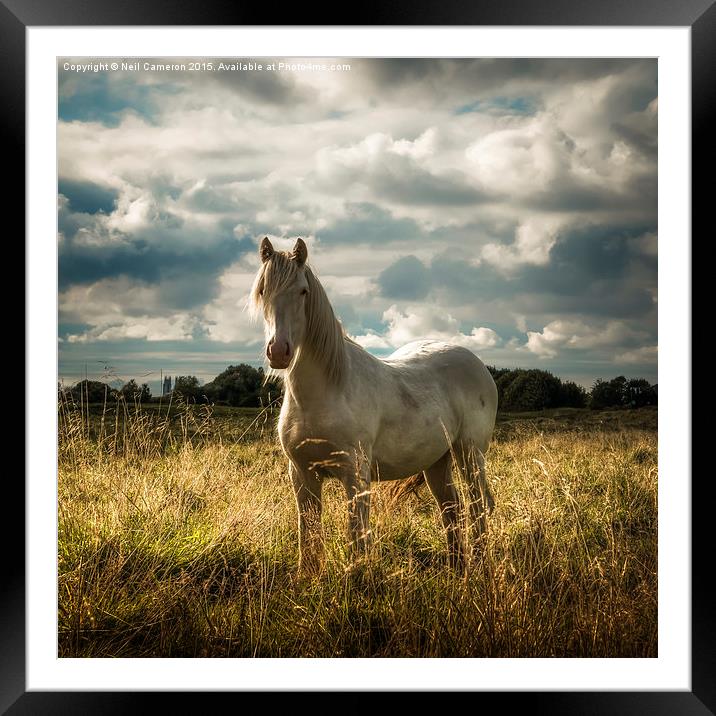  White Horse of Figham  Framed Mounted Print by Neil Cameron