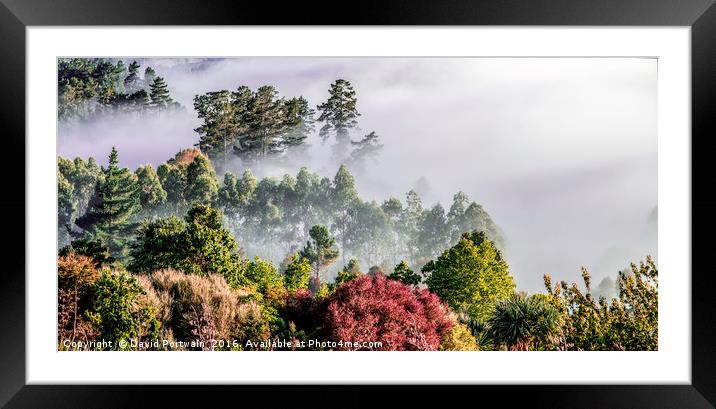Misty valley, Taupo, New Zealand Framed Mounted Print by David Portwain