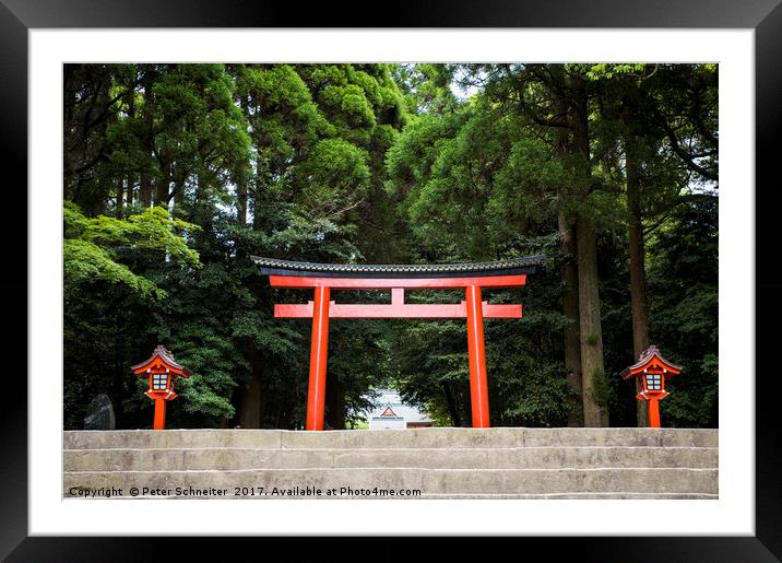 Entrance to Kirishima-Jingu Shrine, Kyushu, Japan. Framed Mounted Print by Peter Schneiter