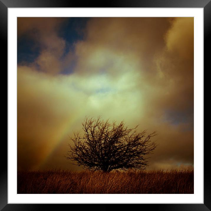 Shropshire landscape with lone tree and rainbow Framed Mounted Print by Julian Bound
