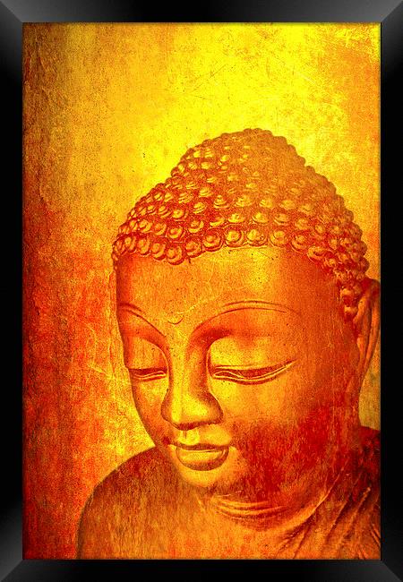  Sri Lankan Buddha  Framed Print by Julian Bound