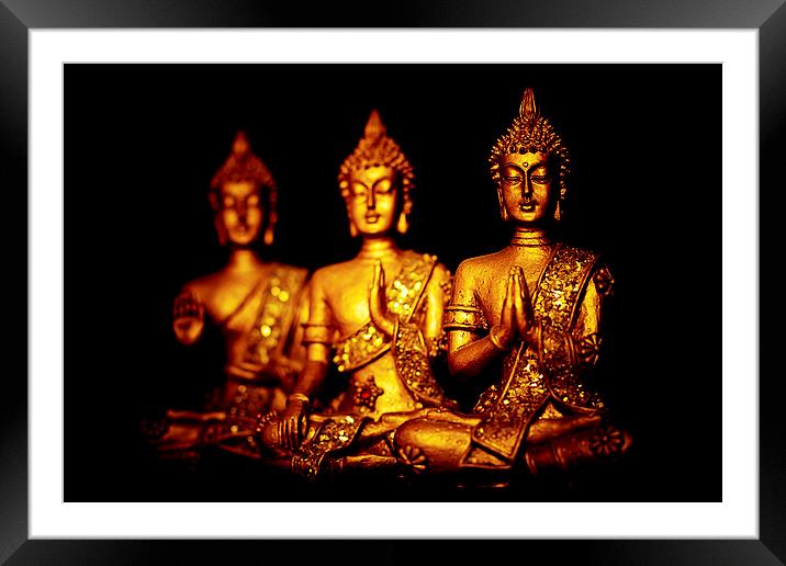  Three peaceful golden Buddha statues in different Framed Mounted Print by Julian Bound