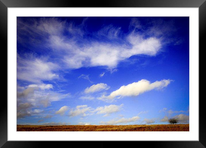  Lone tree with blue skies and cloud Framed Mounted Print by Julian Bound