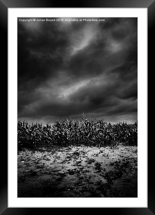   Cornfield at night, Shropshire Framed Mounted Print by Julian Bound