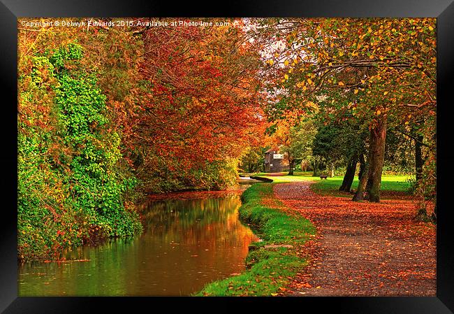  Autumn Colours Framed Print by Delwyn Edwards