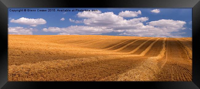  Harvested field, A35 Dorset Framed Print by Glenn Cresser