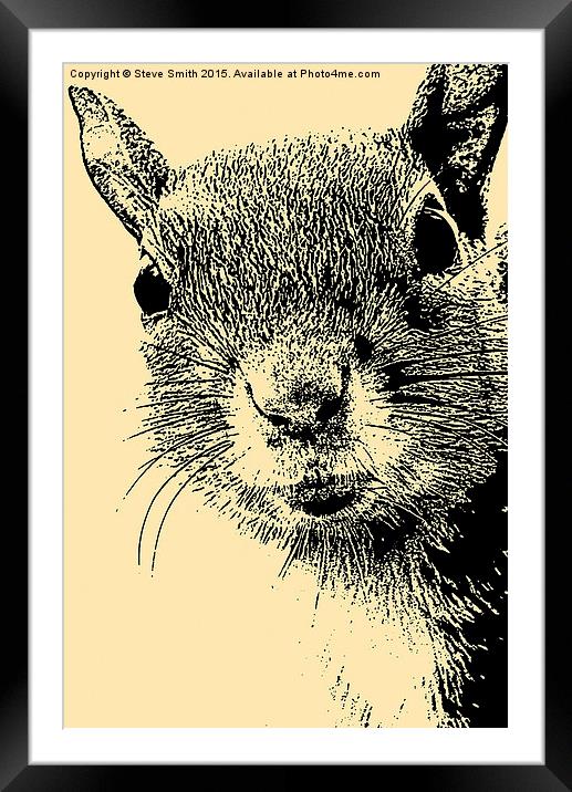 Squirrel Lithograph Framed Mounted Print by Steve Smith