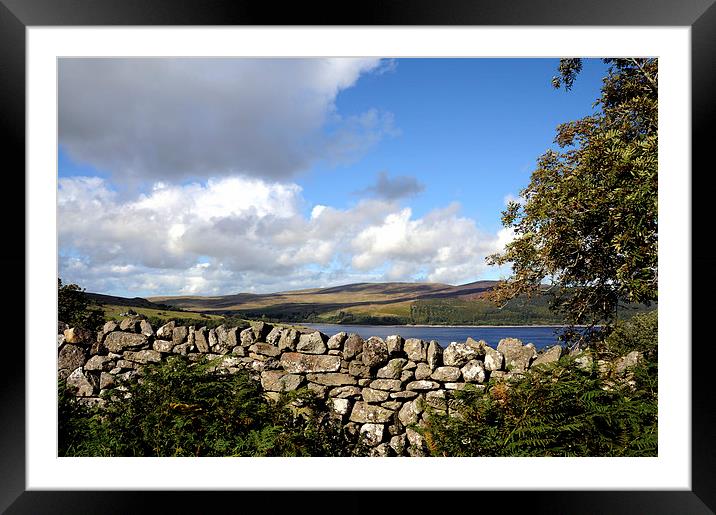 A stone wall beside Llyn Celyn  Framed Mounted Print by Harvey Hudson