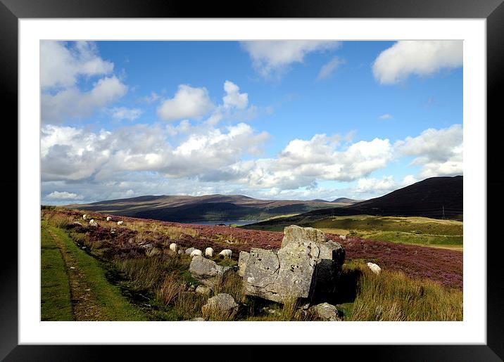  The Arenig Valley And Llyn Celyn Framed Mounted Print by Harvey Hudson