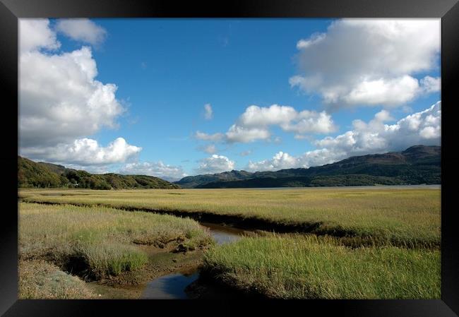 The Mawddach Estuary Framed Print by Harvey Hudson