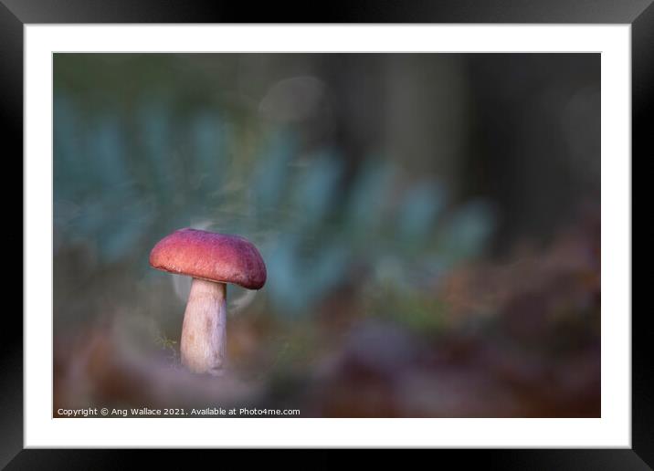 Brittlegill mushroom Framed Mounted Print by Ang Wallace