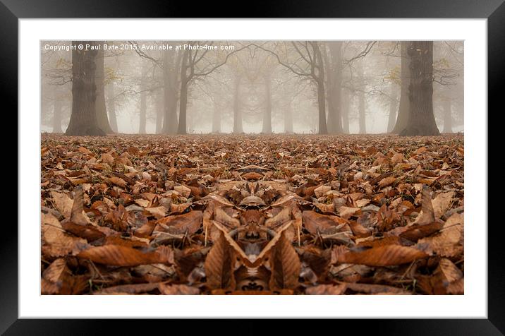  Mirrored Woodland Framed Mounted Print by Paul Bate