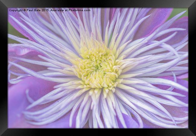  Crystal Fountain Framed Print by Paul Bate