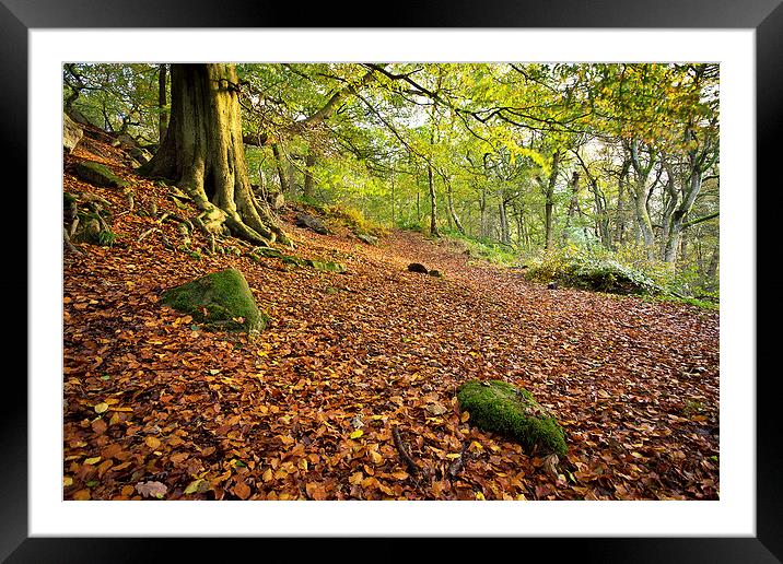  Autumnal Padley Gorge Framed Mounted Print by Phil Sproson