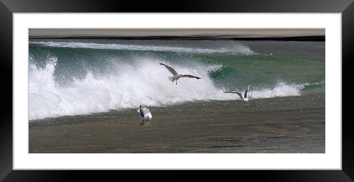  Sprats Framed Mounted Print by Ged O'ConnorChalli