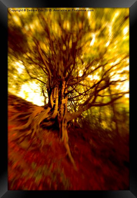  Gnarled tree  Framed Print by Debbie Cox