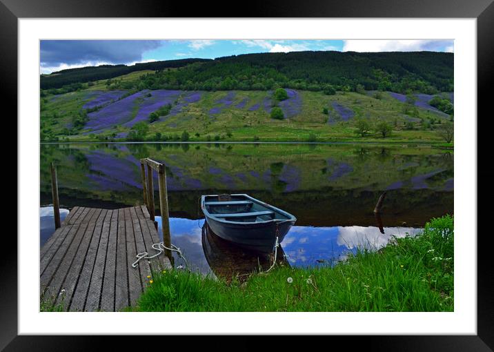 Carpet of Bluebells, Argyll, Scotland. Framed Mounted Print by Rich Fotografi 