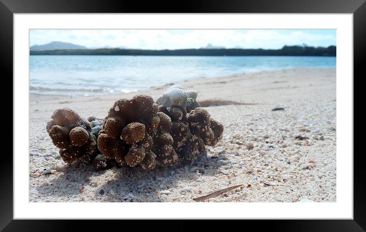  washed up and relax Framed Mounted Print by richard knock