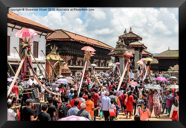  Festival of Nepal: Cow festival Framed Print by Shreeram Khatri