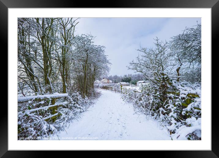 Winter walk. Framed Mounted Print by Bill Allsopp