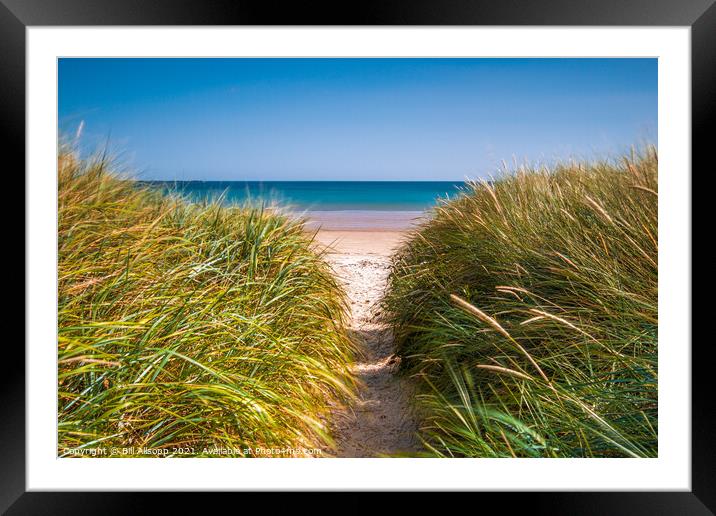 Path to the beach. Framed Mounted Print by Bill Allsopp