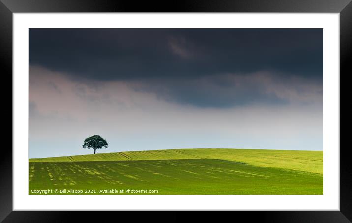 Alone on the Hill. Framed Mounted Print by Bill Allsopp