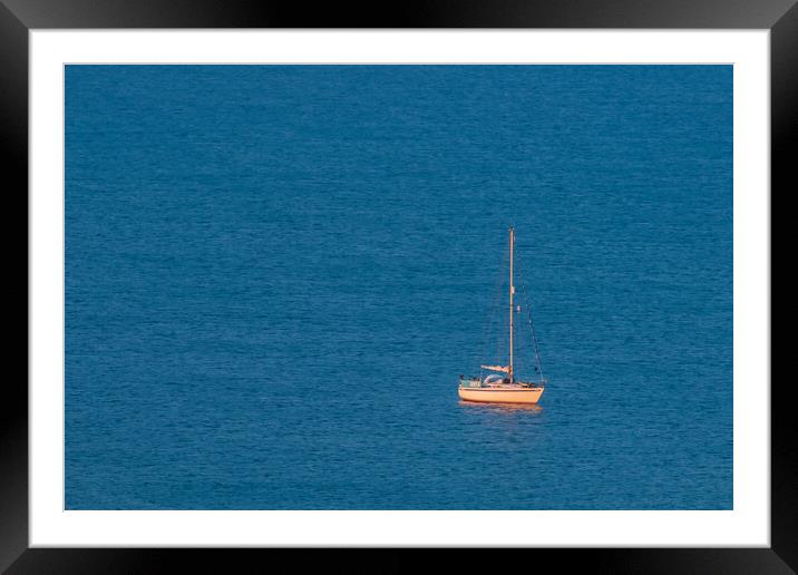 Alone in the sea. Framed Mounted Print by Bill Allsopp