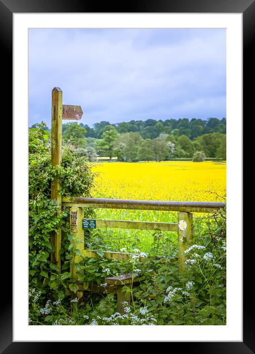 A stile on a public footpath. Framed Mounted Print by Bill Allsopp