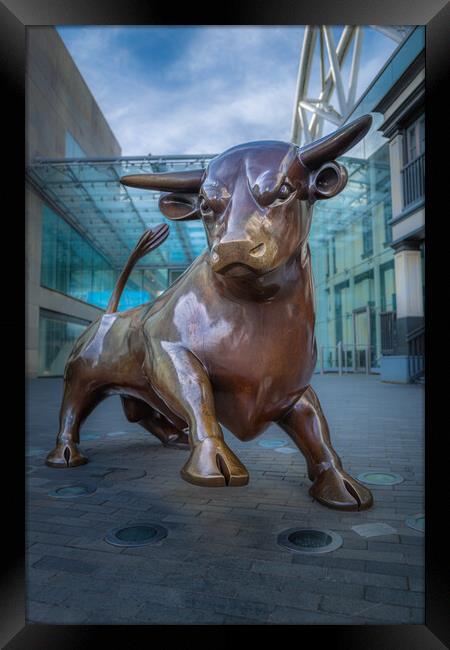 The Bull. Framed Print by Bill Allsopp
