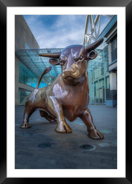 The Bull. Framed Mounted Print by Bill Allsopp