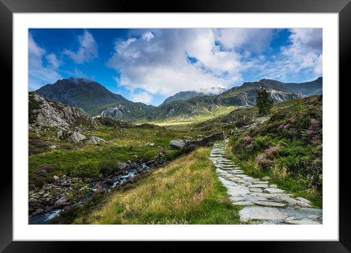 Up to the top. Framed Mounted Print by Bill Allsopp